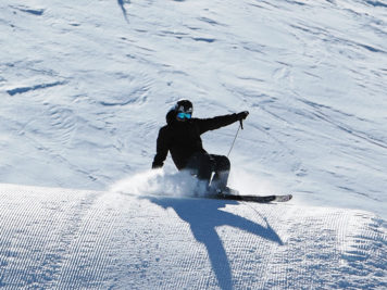 Luis Goñi ski