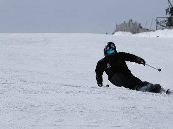 Luis Goñi ski
