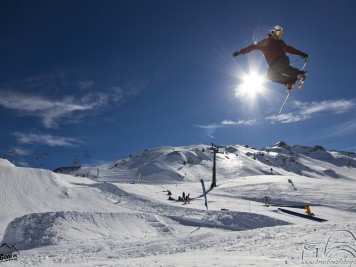 Luis Goñi Duets Tail