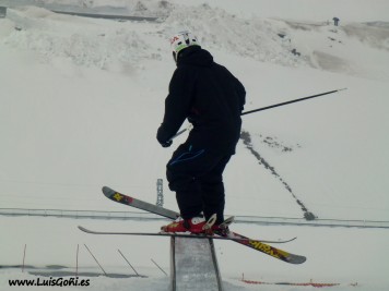 Luis Goñi Revers