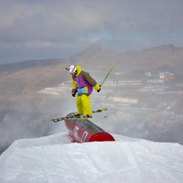 Luis Goñi Blid 450