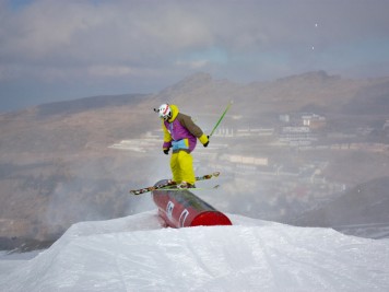 Luis Goñi Blid 450