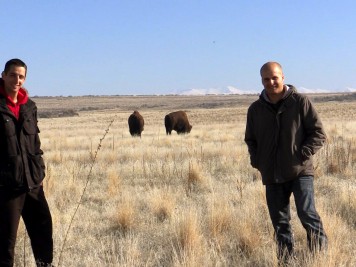 Antelope Island Utah