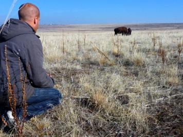 Antelope Island Utah