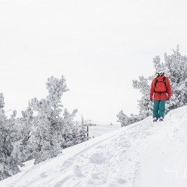 Luis Goñi SNowbasin