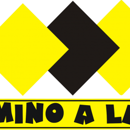De Camino A La Cima