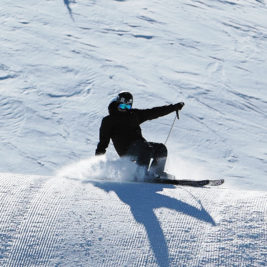 Luis Goñi ski